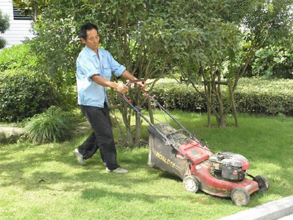 绿化养护服务