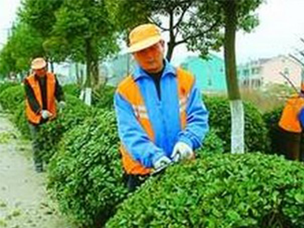 绿化养护服务